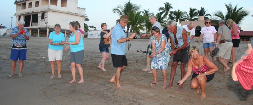 Casita and Guests Rescue 13 Turtles